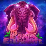 icon-四季体育体育