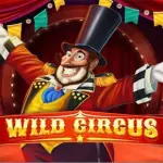 icon-四季体育体育